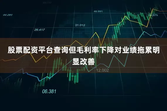 股票配资平台查询但毛利率下降对业绩拖累明显改善